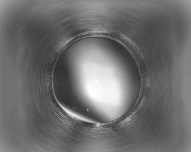 X0000059841169200510241430