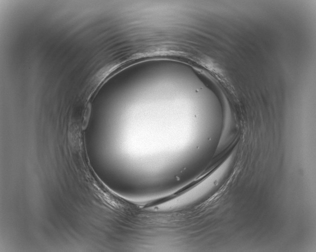X0000059841177200510241430