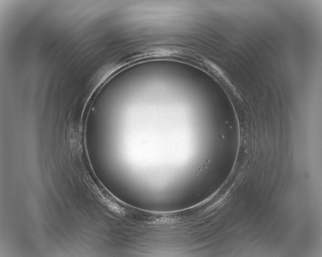 X0000059841178200510241430