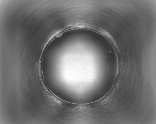 X0000059841190200510241429