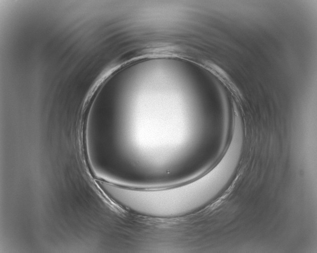 X0000059841196200510241429