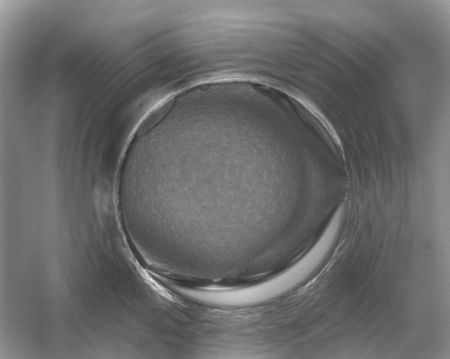 X0000059841197200510241429