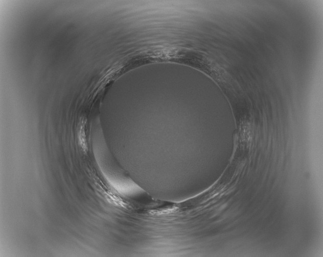 X0000059841202200510241428