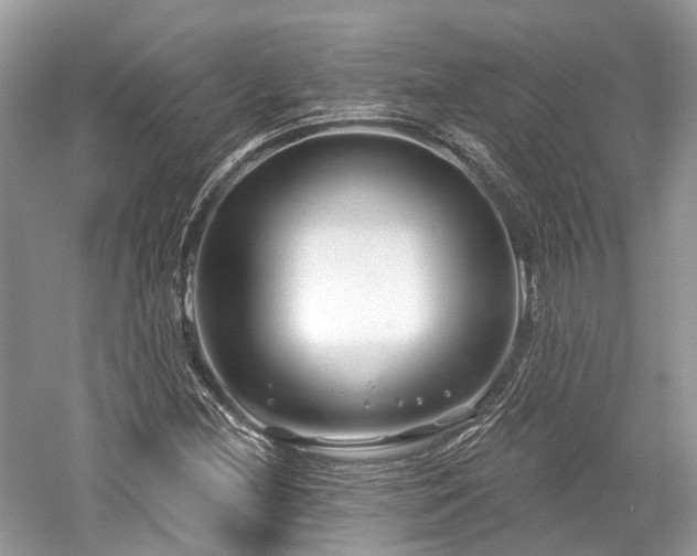 X0000059841212200510241429