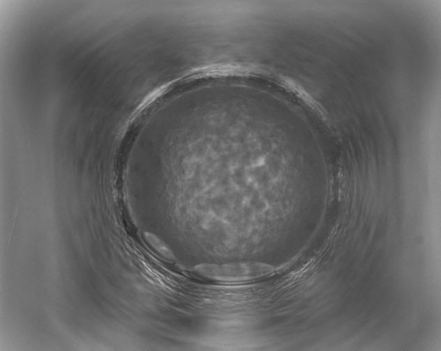 X0000059841213200510241429