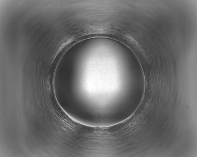 X0000059841218200510241429
