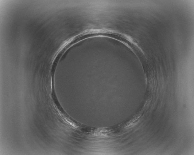 X0000059841221200510241429