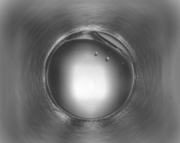 X0000059841232200510241429