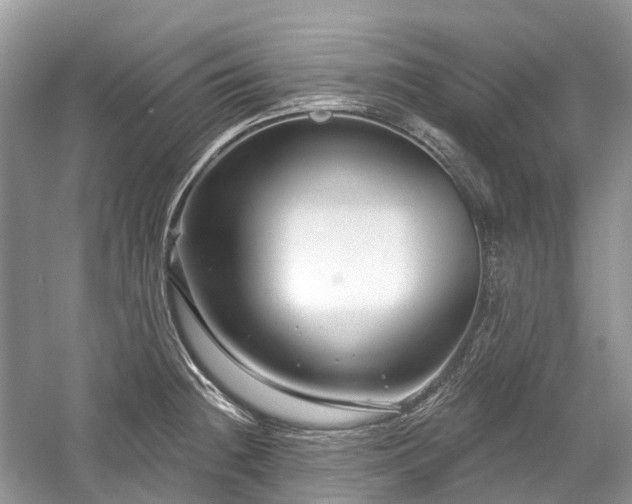 X0000059841236200510241429