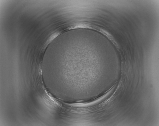 X0000059841241200510241429