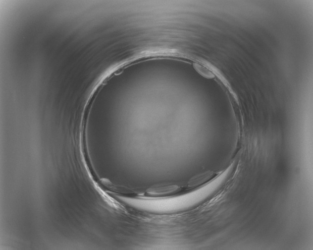 X0000059841245200510241429