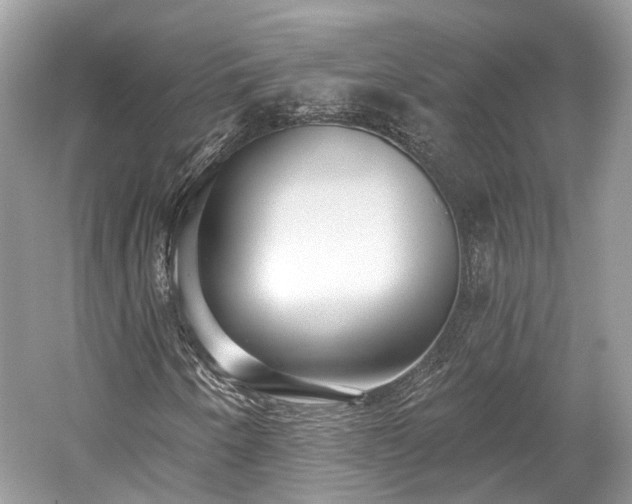 X0000059841250200510241428