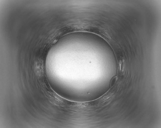 X0000059841251200510241428