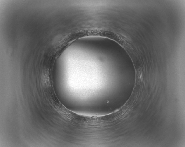 X0000059841252200510241428