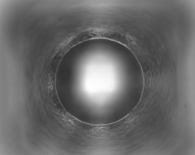 X0000059841253200510241428