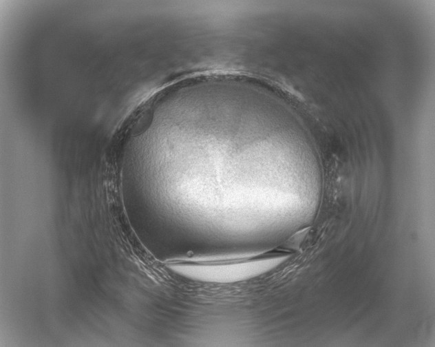 X0000059841255200510241428
