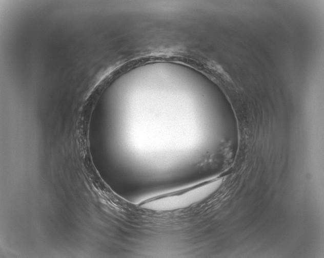 X0000059841256200510241428
