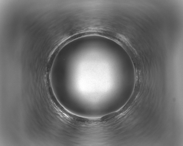 X0000059841260200510241428