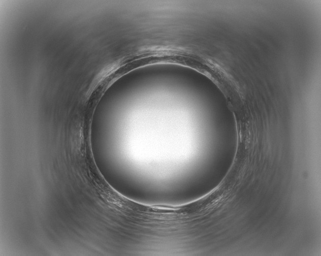 X0000059841261200510241428