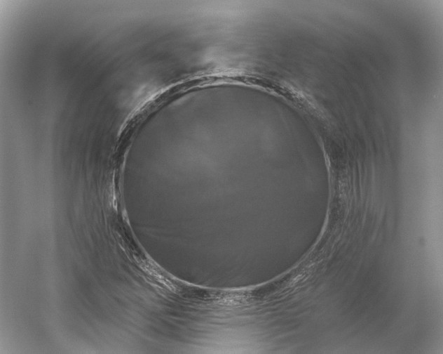 X0000059841262200510241428