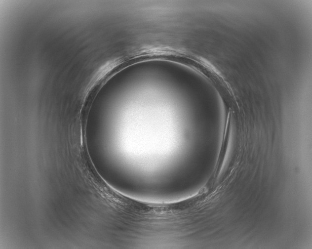X0000059841269200510241428