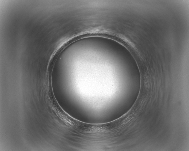 X0000059841270200510241428