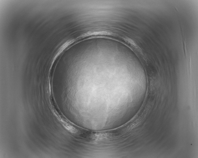 X0000059841274200510241428