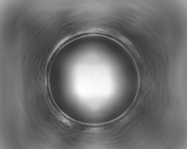 X0000059841280200510241428