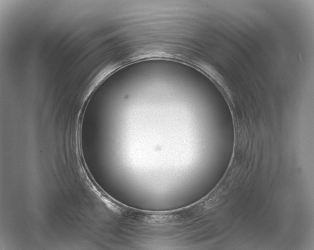 X0000059841290200510241428