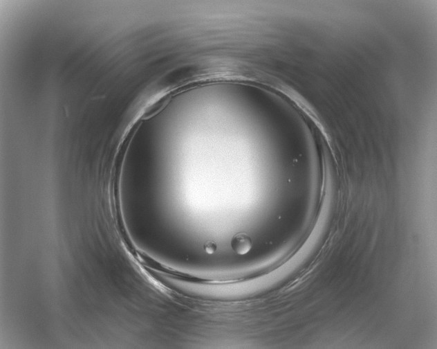 X0000059841293200510241428