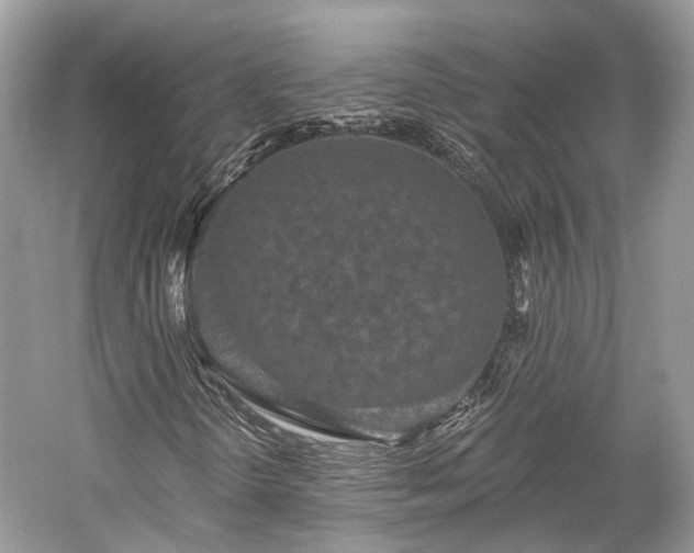 X0000059841298200510241427