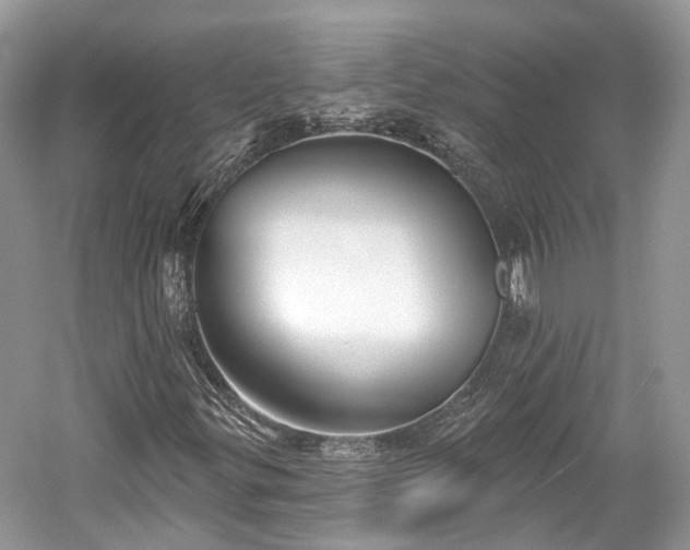 X0000059841299200510241427