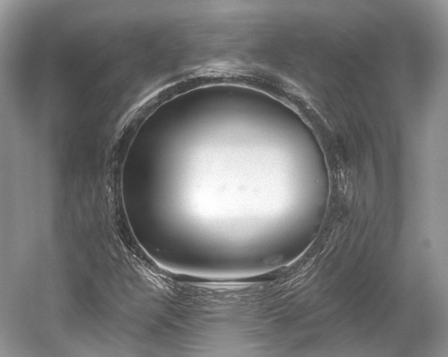 X0000059841304200510241427