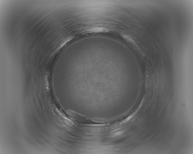 X0000059841305200510241427