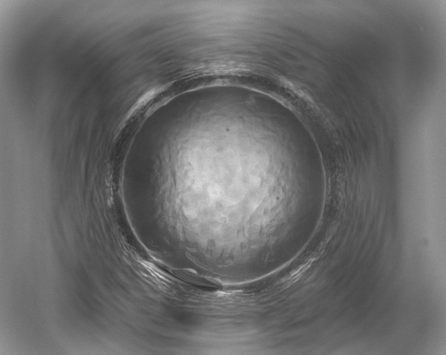 X0000059841306200510241427