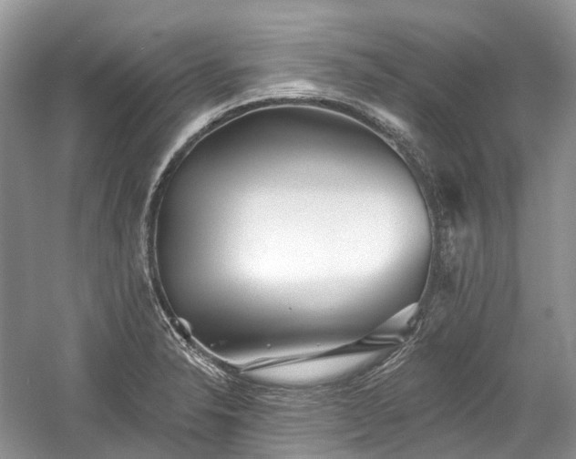 X0000059841326200510241427