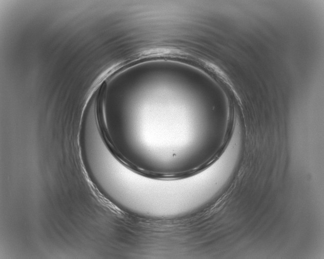 X0000059841330200510241427
