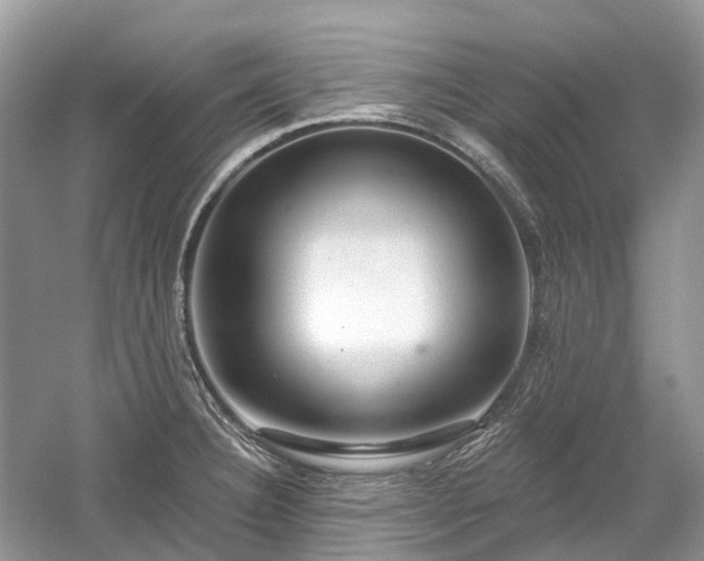 X0000059841332200510241427