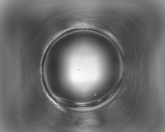 X0000059841335200510241427