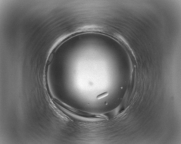 X0000059841336200510241427