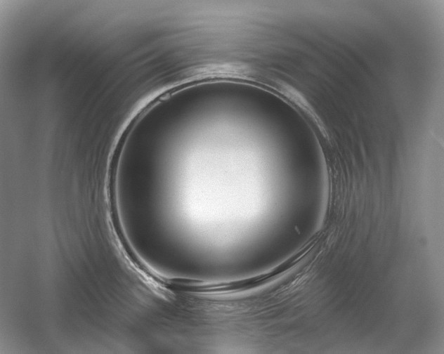 X0000059841339200510241428