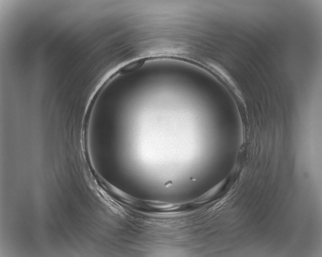 X0000059841340200510241428