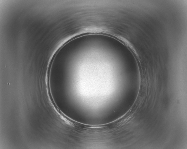 X0000059841343200510241428