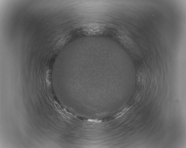 X0000059841346200510241427