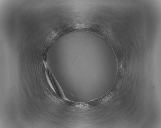 X0000059841348200510241427