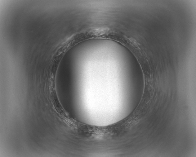 X0000059841349200510241427