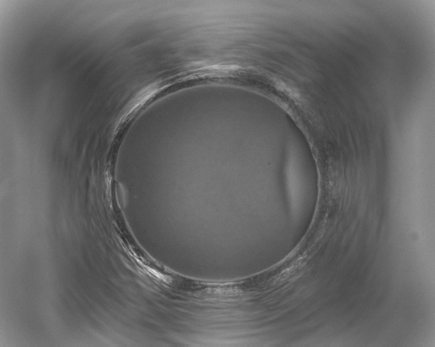 X0000059841354200510241427