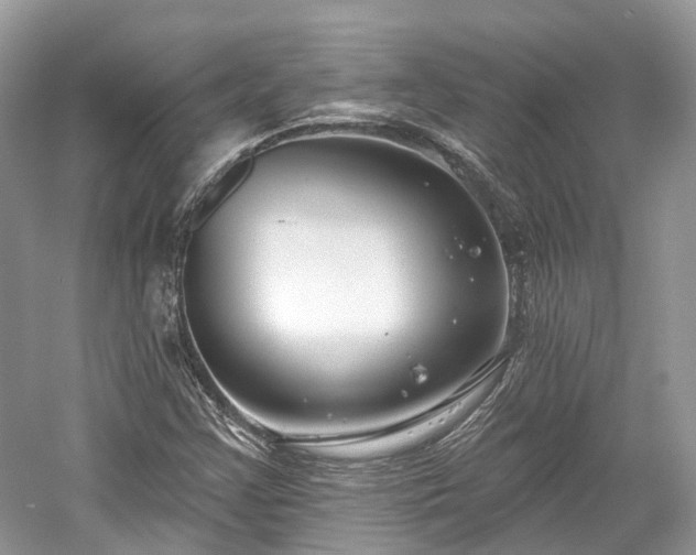 X0000059841355200510241427