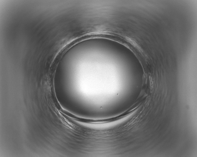 X0000059841356200510241427