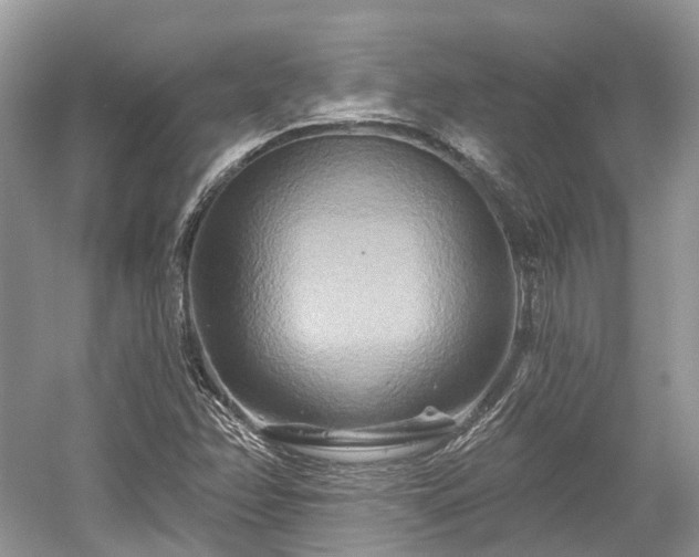 X0000059841358200510241427